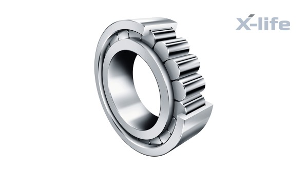 Schaeffler rullningslager och glidlager: Fullrulliga cylindriska rullager